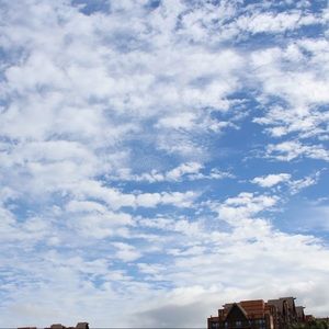 Meet your Posher, Mayci